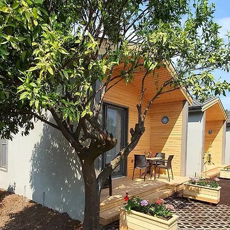 Zeytin çiçeği Evleri Tatil Evi