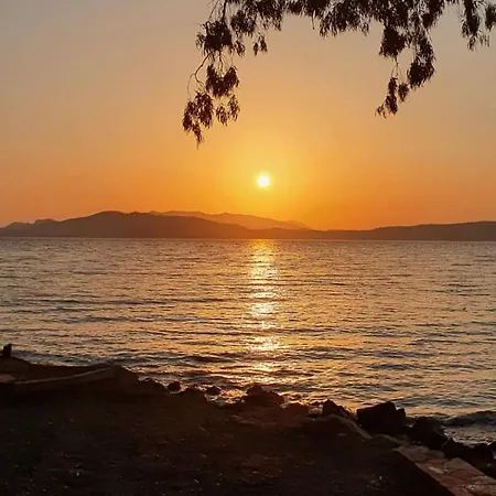 Zeytin çiçeği Evleri Tatil Evi