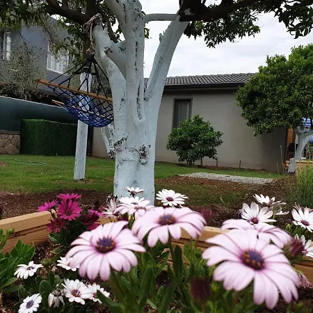 Zeytin çiçeği Evleri Tatil Evi Marmaris