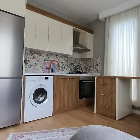 Zeytin çiçeği Evleri Tatil Evi